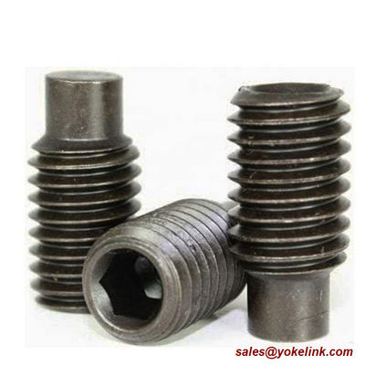 ASME B18.3, DIN 913 Stainless Steel Socket Set screws with Flat Point, Nylok patch